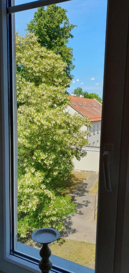 Kalnelio Apartment Klaipėda Extérieur photo